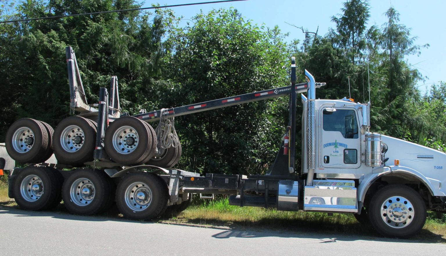 Pig trailer vs dog trailer vs jinker trailer vs dolly